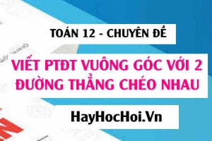 Viết phương trình đường vuông góc chung của 2 đường thẳng chéo nhau - Toán 12 chuyên đề